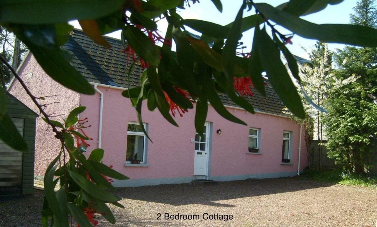 Hallmount Cottage - Belfast Exterior photo